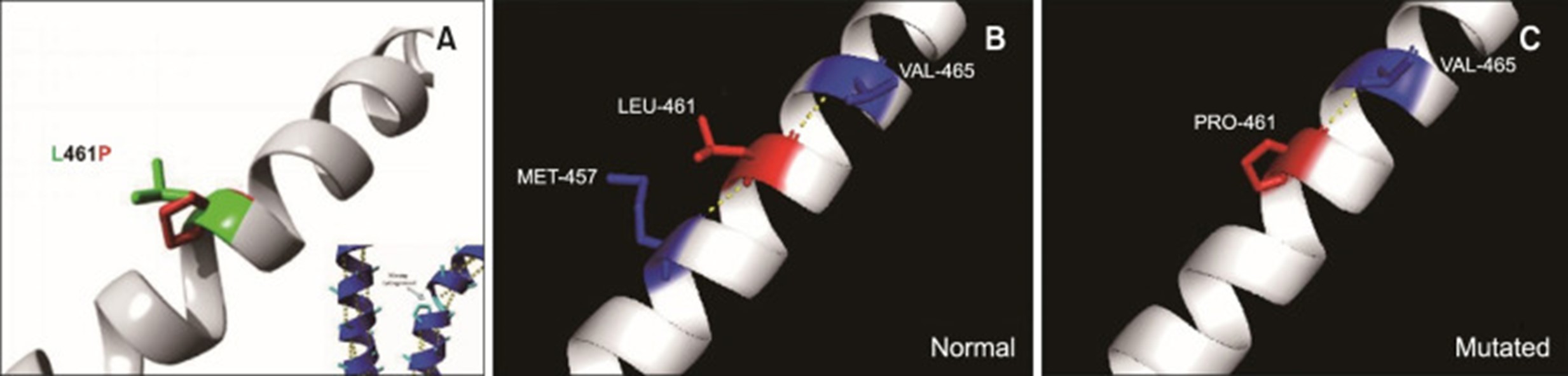 【佳学基因检测】单纯性大疱性表皮松解症基因检测Epidermolysis bullosa simplex 【佳学基因检测】单纯性大疱性表皮松解症基因检测Epidermolysis bullosa simplex
